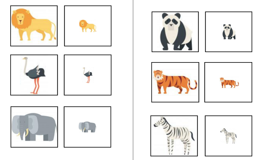 Attribute Flashcards - Big & Small